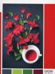 Opakowanie Puzzle 1000 Pantone Red Hibiscus Aroma