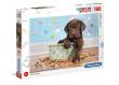 Opakowanie Puzzle Supercolor Lovely Puppy 180