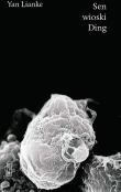 Okładka książki SEN WIOSKI DING