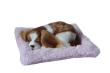 Opakowanie Śpiący piesek na poduszce - Spaniel