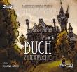 Tajemnice starego pałacu Duch z Niewiadomic - Audiobook. Autor: Katarzyna Majgier. Dadada.pl Okładka książki Tajemnice starego pałacu Duch z Niewiadomic - Audiobook