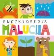 Okładka książki Encyklopedia malucha
