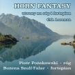 Horn Fantasy, utwory na róg i fortepian. Autor: Pożakowski Piotr, Szull-Talar Bożena. Dadada.pl Okładka książki Horn Fantasy, utwory na róg i fortepian