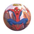 Opakowanie John Piłka piankowa Spider-Man 5,5cm