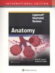 Lippincott Illustrated Reviews: Anatomy. Autor: Harrell Kelly M., Dudek Ronald W.. Dadada.pl Okładka książki Lippincott Illustrated Reviews: Anatomy