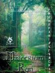 Misterium run w.2. Autor: Alla Alicja Chrzanowska. Dadada.pl Okładka książki Misterium run w.2