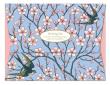 Opakowanie Papeteria Wallet Almond Blossom & Swallow