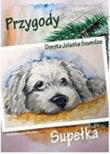 Okładka książki Przygody Supełka