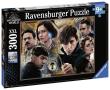 Opakowanie Puzzle Harry Potter Fantastyczne zwierzęta 300