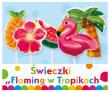 Opakowanie ŚWIECZKI PIKERY FLAMING W TROPIKACH 5 SZTUK PF-SPFT