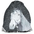 Opakowanie Worek na buty Paso Horse czarno-szary