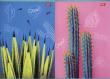 Opakowanie Zeszyt A4 w kratkę 60 kartek Cacti 10 sztuk mix