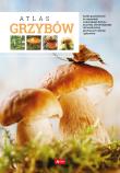 ATLAS GRZYBÓW. Autor: Kamiński Wiesław. Dadada.pl Okładka książki ATLAS GRZYBÓW