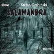 CD MP3 SALAMANDRA WYD. 2. Autor: Grabiński Stefan. Dadada.pl Okładka książki CD MP3 SALAMANDRA WYD. 2