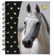 Opakowanie Notes spiralny Horse PP19H-3631 PASO