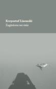 Zaginiona we śnie. Autor: Lisowski Krzysztof. Dadada.pl Okładka książki Zaginiona we śnie