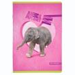 Opakowanie Zeszyt A5/16K =  Animal Planet Cute