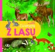 Zwierzęta z lasu. Autor: Paweł Beręsewicz. Dadada.pl Okładka książki Zwierzęta z lasu