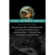 Okładka książki Biblijne dyskursy tożsamościowe w czasach...
