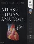 Atlas of Human Anatomy 7th Edition. Autor: Netter Frank H.. Dadada.pl Okładka książki Atlas of Human Anatomy 7th Edition