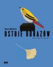 Kaszubskie ostoje obrazów. Autor: Dorota Folga-Januszewsza. Dadada.pl Okładka książki Kaszubskie ostoje obrazów