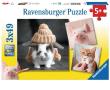 Opakowanie Puzzle 3x49 Śmieszne portrety zwierząt