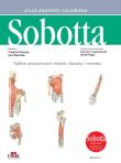 Tablice anatomiczne mięśni, stawów i nerwów. Angielskie mianownictwo. Autor: Paulsen F., Waschke J.. Dadada.pl Okładka książki Tablice anatomiczne mięśni, stawów i nerwów. Angielskie mianownictwo