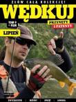 Wędkuj. Przynęty i patenty. Tom 9 + film. Lipień. Wydawca: Literat. Dadada.pl Opakowanie Wędkuj. Przynęty i patenty. Tom 9 + film. Lipień