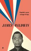 ZAPISKI SYNA SWEGO KRAJU. Autor: Baldwin James. Dadada.pl Okładka książki ZAPISKI SYNA SWEGO KRAJU