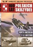 Okładka książki 100 lat polskich skrzydeł t.17    /K/