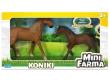 Opakowanie Mini Farma Koniki