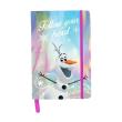 Opakowanie NOTES HOLOGRAFICZNY A5 FROZEN DOZ-3680
