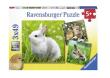 Opakowanie Puzzle 3x49 Delikatne króliczki