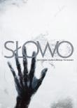 Słowo. B-5 Ilustrowane wyd. Nowego Testamentu. Autor: HILLSONG. Dadada.pl Okładka książki Słowo. B-5 Ilustrowane wyd. Nowego Testamentu