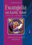 Ewangelia na każdy dzień. Krople Ewangeliczne. Autor: ks. Edward Staniek. Dadada.pl Okładka książki Ewangelia na każdy dzień. Krople Ewangeliczne