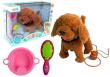 Opakowanie Interaktywny Piesek Na Smyczy + Akcesoria Pudelek
