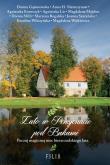 LATO W PENSJONACIE POD BUKAMI WYD. KIESZONKOWE. Autor: Dorota Gąsiorowska, Marzena Rogalska, Witkiewicz Magdalena. Dadada.pl Okładka książki LATO W PENSJONACIE POD BUKAMI WYD. KIESZONKOWE
