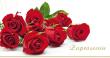 Opakowanie Zaproszenia Flowers nr 03 (opakowanie 10 szt)