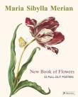 Maria Sibylla Merian. Autor: Christiansen Stella. Dadada.pl Okładka książki Maria Sibylla Merian