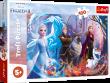 Opakowanie Puzzle 100 Magia Krainy Lodu TREFL