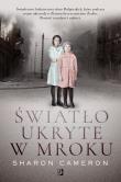 Światło ukryte w mroku. Autor: Sharon Cameron. Dadada.pl Okładka książki Światło ukryte w mroku