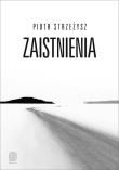 Zaistnienia. Autor: Piotr Strzeżysz. Dadada.pl Okładka książki Zaistnienia
