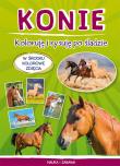 Konie. Koloruję i rysuję po śladzie. Autor: Myślak Monika. Dadada.pl Okładka książki Konie. Koloruję i rysuję po śladzie