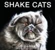 Okładka książki Shake Cats by Carli Davidson -