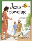 Biblia Młodych - Jezus powołuje. Autor: praca zbiorowa. Dadada.pl Okładka książki Biblia Młodych - Jezus powołuje