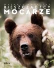 Bieszczadzcy mocarze. Autor: Matysiak Mateusz. Dadada.pl Okładka książki Bieszczadzcy mocarze