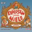Okładka książki Królestwo jakich wiele Audiobook