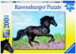 Opakowanie Puzzle 200 Piękno konia