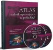 Atlas technik operacyjnych w proktologii. Autor: Kołodziejczak Małgorzata, Przemysław Ciesielski. Dadada.pl Okładka książki Atlas technik operacyjnych w proktologii