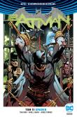 Batman T.11 Upadek. Autor: MIKEL JANIN, Jorge Fornes. Dadada.pl Okładka książki Batman T.11 Upadek